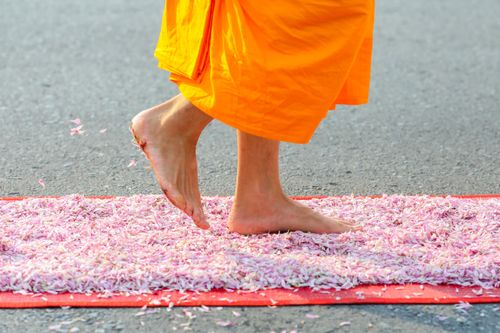 ภาพ No.36320:โครงการธรรมยาตรา เส้นทางพระผู้ปราบมาร ปีที่ 9 ณ วัดพระธรรมกาย