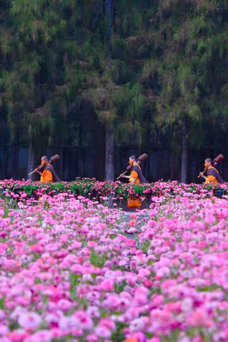 ภาพ No.36266:โครงการธรรมยาตรา เส้นทางพระผู้ปราบมาร ปีที่ 9 ณ วัดพระธรรมกาย