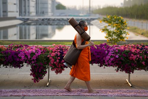 ภาพ No.36305:โครงการธรรมยาตรา เส้นทางพระผู้ปราบมาร ปีที่ 9 ณ วัดพระธรรมกาย