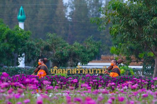 ภาพ No.36284:โครงการธรรมยาตรา เส้นทางพระผู้ปราบมาร ปีที่ 9 ณ วัดพระธรรมกาย