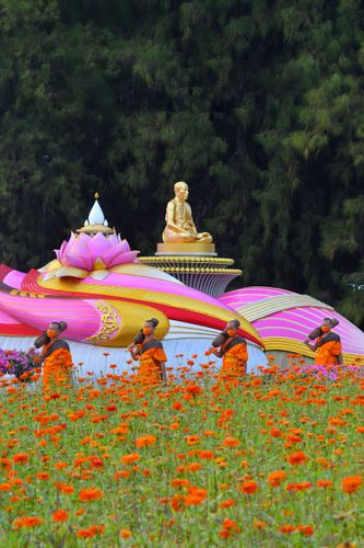 ภาพ No.36267:โครงการธรรมยาตรา เส้นทางพระผู้ปราบมาร ปีที่ 9 ณ วัดพระธรรมกาย