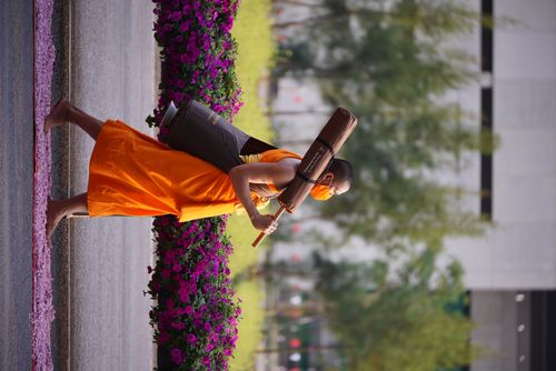 ภาพ No.36251:โครงการธรรมยาตรา เส้นทางพระผู้ปราบมาร ปีที่ 9 ณ วัดพระธรรมกาย