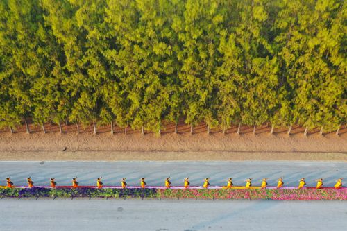 ภาพ No.36295:โครงการธรรมยาตรา เส้นทางพระผู้ปราบมาร ปีที่ 9 ณ วัดพระธรรมกาย