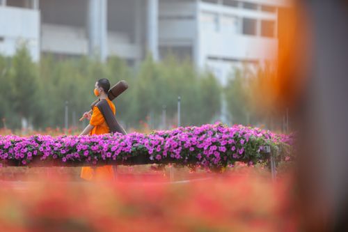 ภาพ No.36301:โครงการธรรมยาตรา เส้นทางพระผู้ปราบมาร ปีที่ 9 ณ วัดพระธรรมกาย