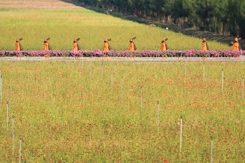 ภาพ No.36519:โครงการธรรมยาตรา เส้นทางพระผู้ปราบมาร ปีที่ 9 ณ วัดพระธรรมกาย