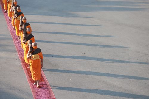 ภาพ No.36434:โครงการธรรมยาตรา เส้นทางพระผู้ปราบมาร ปีที่ 9 ณ วัดพระธรรมกาย