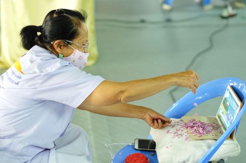 ภาพ No.36394:โครงการธรรมยาตรา เส้นทางพระผู้ปราบมาร ปีที่ 9 ณ วัดพระธรรมกาย