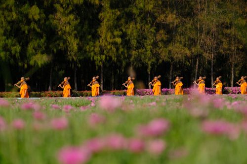 ภาพ No.36482:โครงการธรรมยาตรา เส้นทางพระผู้ปราบมาร ปีที่ 9 ณ วัดพระธรรมกาย