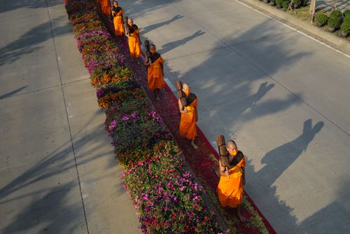 ภาพ No.36390:โครงการธรรมยาตรา เส้นทางพระผู้ปราบมาร ปีที่ 9 ณ วัดพระธรรมกาย
