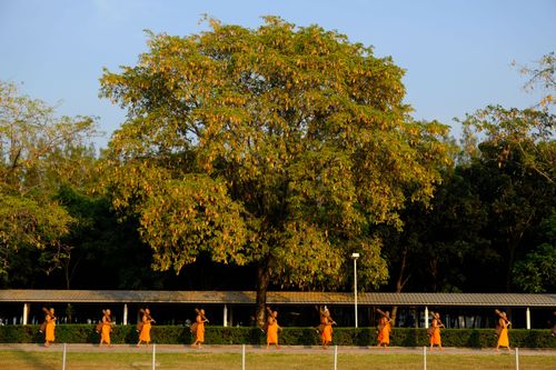 ภาพ No.36484:โครงการธรรมยาตรา เส้นทางพระผู้ปราบมาร ปีที่ 9 ณ วัดพระธรรมกาย