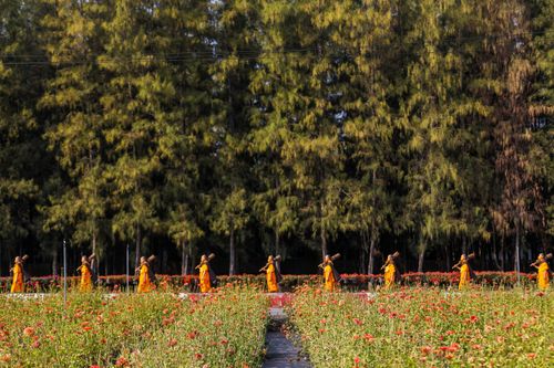 ภาพ No.36499:โครงการธรรมยาตรา เส้นทางพระผู้ปราบมาร ปีที่ 9 ณ วัดพระธรรมกาย