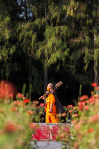 ภาพ No.36496:โครงการธรรมยาตรา เส้นทางพระผู้ปราบมาร ปีที่ 9 ณ วัดพระธรรมกาย