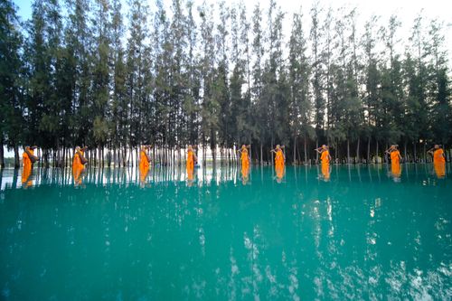 ภาพ No.36488:โครงการธรรมยาตรา เส้นทางพระผู้ปราบมาร ปีที่ 9 ณ วัดพระธรรมกาย