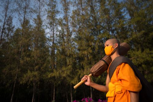 ภาพ No.36464:โครงการธรรมยาตรา เส้นทางพระผู้ปราบมาร ปีที่ 9 ณ วัดพระธรรมกาย