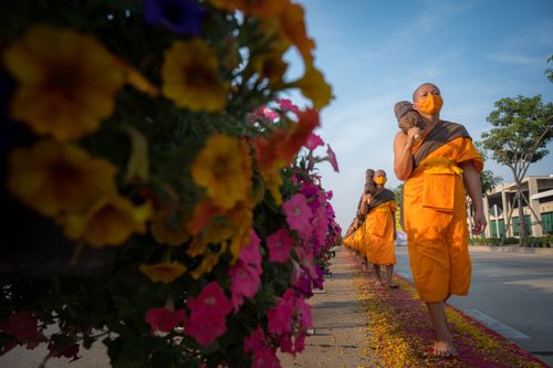 ภาพ No.36466:โครงการธรรมยาตรา เส้นทางพระผู้ปราบมาร ปีที่ 9 ณ วัดพระธรรมกาย