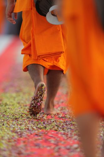 ภาพ No.36428:โครงการธรรมยาตรา เส้นทางพระผู้ปราบมาร ปีที่ 9 ณ วัดพระธรรมกาย
