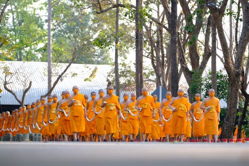 ภาพ No.28455:วันมหาปูชนียาจารย์ (อัญเชิญอัฐิธาตุคุณยายทองสุข)