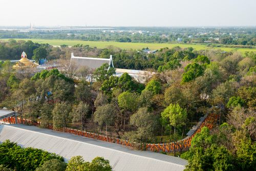 ภาพ No.28516:วันมหาปูชนียาจารย์ (อัญเชิญอัฐิธาตุคุณยายทองสุข)