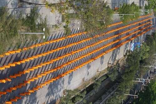 ภาพ No.28302:วันมหาปูชนียาจารย์ (อัญเชิญอัฐิธาตุคุณยายทองสุข)