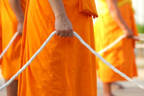 ภาพ No.28488:วันมหาปูชนียาจารย์ (อัญเชิญอัฐิธาตุคุณยายทองสุข)