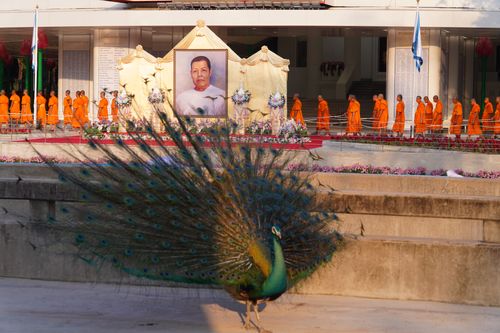 ภาพ No.28369:วันมหาปูชนียาจารย์ (อัญเชิญอัฐิธาตุคุณยายทองสุข)