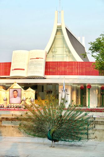 ภาพ No.28350:วันมหาปูชนียาจารย์ (อัญเชิญอัฐิธาตุคุณยายทองสุข)