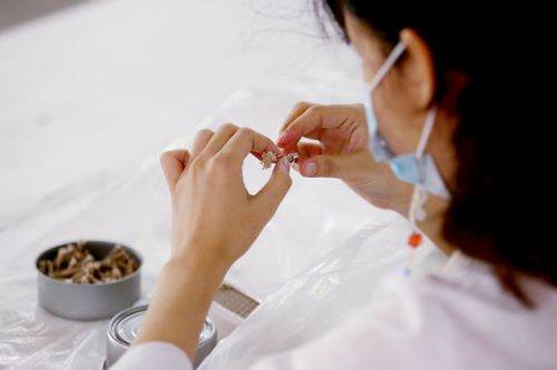 ภาพ No.31185:กิจกรรมงานบุญ ร่วมกันทำไส้เทียนและหล่อเทียนกระป๋อง