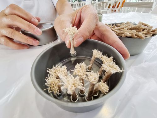 ภาพ No.31187:กิจกรรมงานบุญ ร่วมกันทำไส้เทียนและหล่อเทียนกระป๋อง