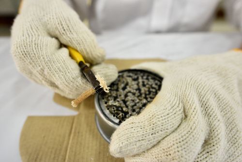 ภาพ No.31217:กิจกรรมงานบุญ ร่วมกันทำไส้เทียนและหล่อเทียนกระป๋อง