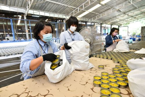 ภาพ No.31220:กิจกรรมงานบุญ ร่วมกันทำไส้เทียนและหล่อเทียนกระป๋อง