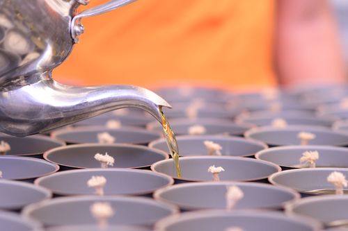 ภาพ No.31203:กิจกรรมงานบุญ ร่วมกันทำไส้เทียนและหล่อเทียนกระป๋อง