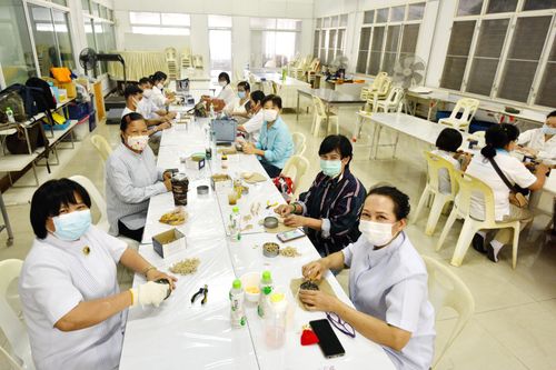 ภาพ No.31240:กิจกรรมงานบุญ ร่วมกันทำไส้เทียนและหล่อเทียนกระป๋อง