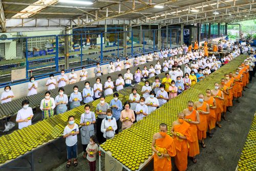 ภาพ No.31257:กิจกรรมงานบุญ ร่วมกันทำไส้เทียนและหล่อเทียนกระป๋อง