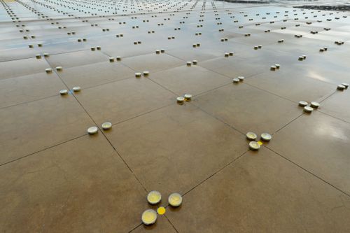 ภาพ No.28916:วันคุ้มครองโลก พิธีจุดประทีปแปรอักษรที่ใหญ่ที่สุดในโลก ถวายเป็นพุทธบูชา ผ่านระบบ ZOOM 