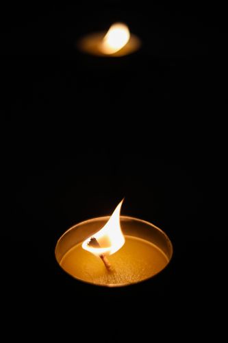 ภาพ No.29103:วันคุ้มครองโลก พิธีจุดประทีปแปรอักษรที่ใหญ่ที่สุดในโลก ถวายเป็นพุทธบูชา ผ่านระบบ ZOOM 