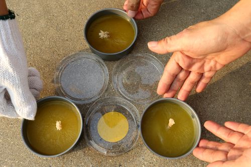 ภาพ No.29068:วันคุ้มครองโลก พิธีจุดประทีปแปรอักษรที่ใหญ่ที่สุดในโลก ถวายเป็นพุทธบูชา ผ่านระบบ ZOOM 