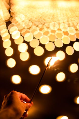 ภาพ No.29105:วันคุ้มครองโลก พิธีจุดประทีปแปรอักษรที่ใหญ่ที่สุดในโลก ถวายเป็นพุทธบูชา ผ่านระบบ ZOOM 