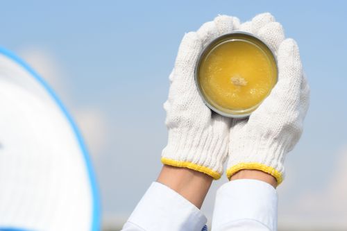 ภาพ No.29123:วันคุ้มครองโลก พิธีจุดประทีปแปรอักษรที่ใหญ่ที่สุดในโลก ถวายเป็นพุทธบูชา ผ่านระบบ ZOOM 