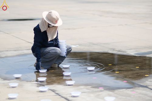 ภาพ No.45632:ประมวลภาพ V-Peace อาสาสมัคร เบื้องหลังความสำเร็จ วันคุ้มครองโลก