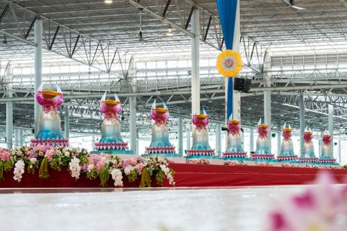 ภาพ No.30980:พิธีบูชาครูผู้ค้นพบวิชชาธรรมกาย ออนไลน์