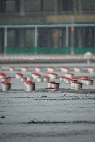 ภาพ No.31059:พิธีเจริญพระพุทธมนต์และจุดประทีปบูชาธรรมพระมงคลเทพมุนี (สด จนฺทสโร) พระผู้ปราบมาร ออนไลน์