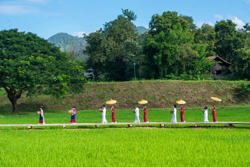 ภาพ No.31468:พิธีทอดกฐินสามัคคี ศูนย์ปฎิบัติธรรมนานาชาติปาย