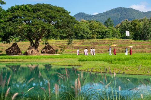 ภาพ No.31469:พิธีทอดกฐินสามัคคี ศูนย์ปฎิบัติธรรมนานาชาติปาย