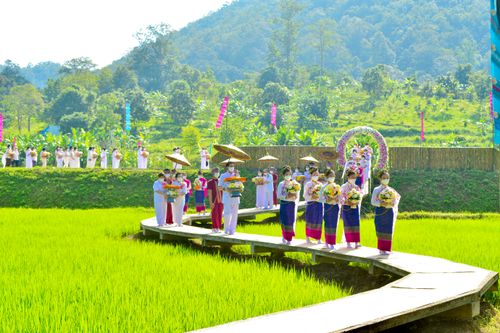 ภาพ No.31456:พิธีทอดกฐินสามัคคี ศูนย์ปฎิบัติธรรมนานาชาติปาย