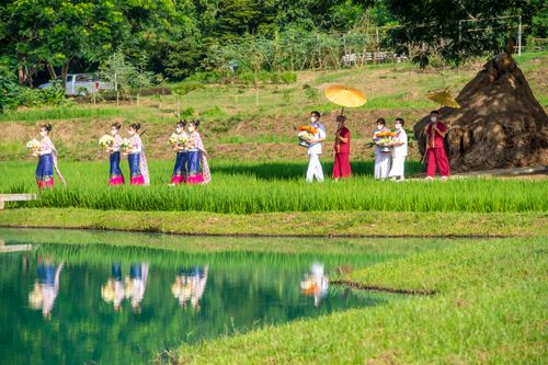 ภาพ No.31471:พิธีทอดกฐินสามัคคี ศูนย์ปฎิบัติธรรมนานาชาติปาย