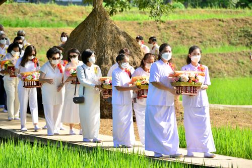 ภาพ No.31458:พิธีทอดกฐินสามัคคี ศูนย์ปฎิบัติธรรมนานาชาติปาย