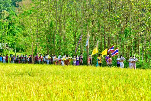 ภาพ No.39013:พิธีทอดกฐินเพื่อซื้อที่ดิน ศูนย์ฝึกอบรมเยาวชนสบเมย