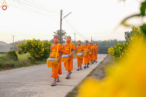 ภาพ No.46021:ประมวลภาพสามเณรออกบิณฑบาตร โครงการบรรพชาสามเณรฟื้นฟูพระพุทธศาสนาทั่วไทย ณ ศูนย์อบรมเยาวชนนครปฐม