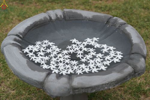 ภาพ No.45411:ประมวลภาพพิธีถวายสังฆทานช่วยเหลือคณะสงฆ์ศรีลังกา ช่วงวิกฤตเศรษฐกิจ บูชาธรรมหลวงพ่อธัมมชโย ในโอกาสวันคุ้มครองโลก พ.ศ. 2565