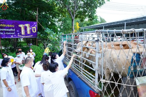 ภาพ No.50060:ประมวลภาพพิธีทอดผ้าป่าบำรุงศูนย์ฉลองครบรอบ 11 ปี ศูนย์อบรมเยาวชนนครปฐม